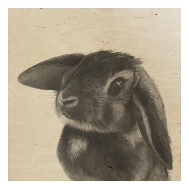 Prints Illustration Rabbit Black And White Drawing