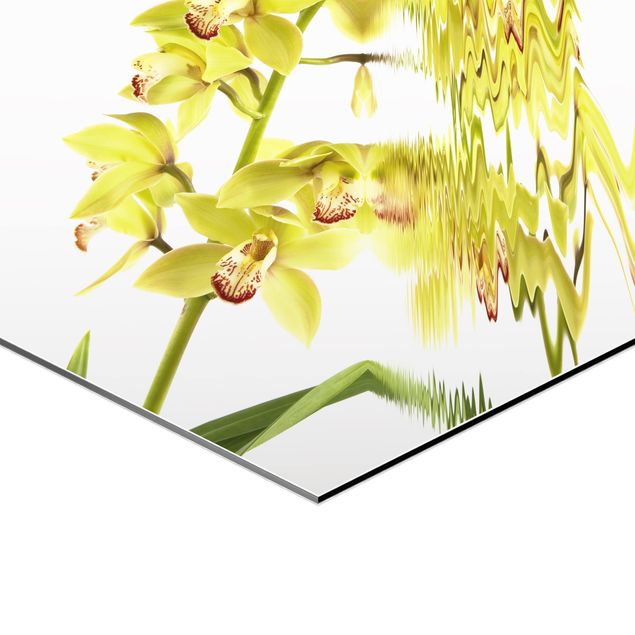 Hexagon shape pictures Elegant Orchid Waters