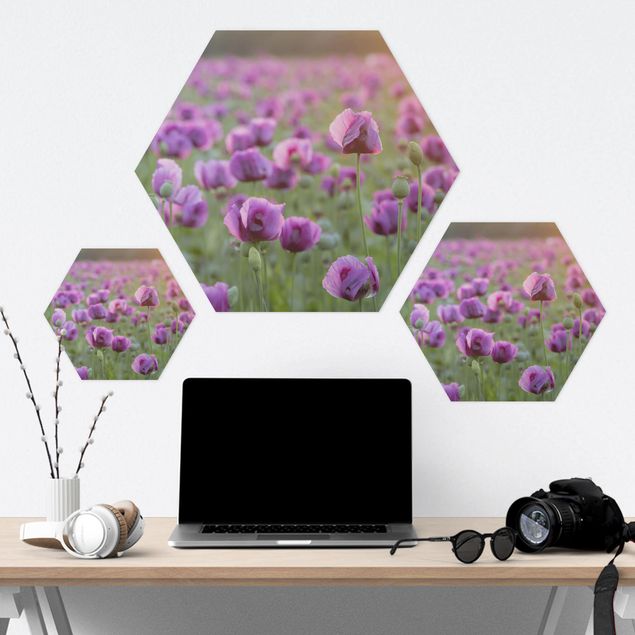 Hexagonal prints Purple Poppy Flower Meadow In Spring