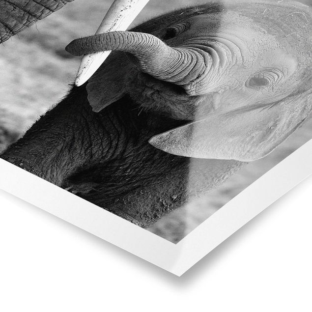 Prints modern Baby Elephant