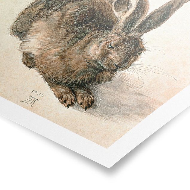 Art posters Albrecht Dürer - Young Hare