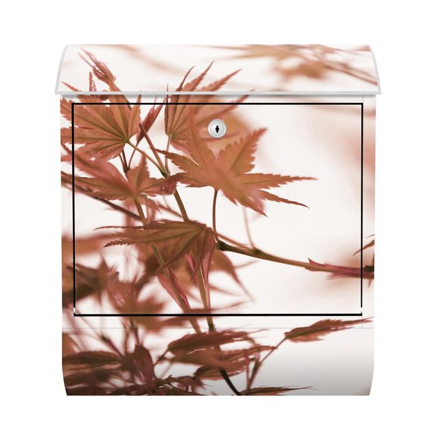 Red wall mounted post box Maple Leaf In Autumn Sun