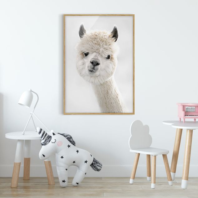 Prints animals Alpaca Portrait