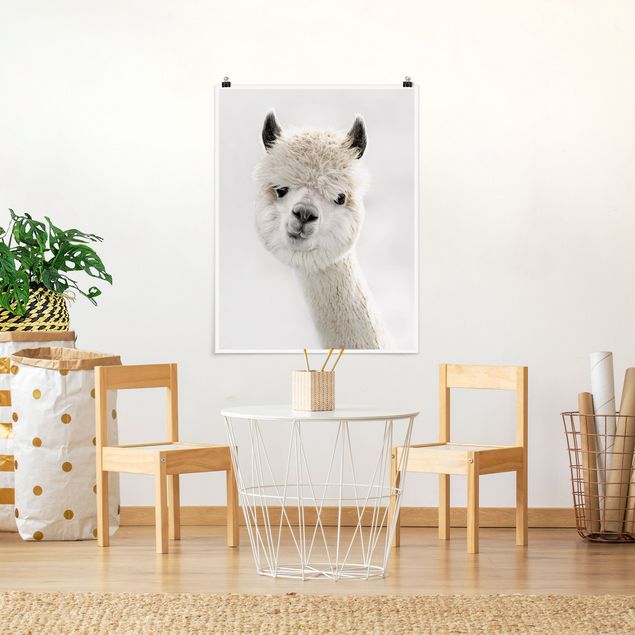Animal canvas Alpaca Portrait