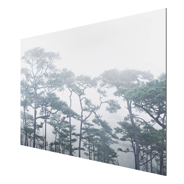 Trees on canvas Treetops In Fog