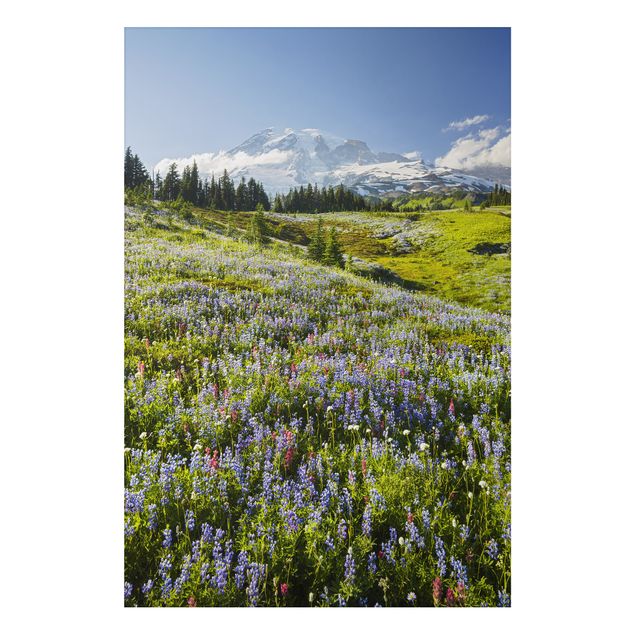 Prints landscape Mountain Meadow With Red Flowers in Front of Mt. Rainier