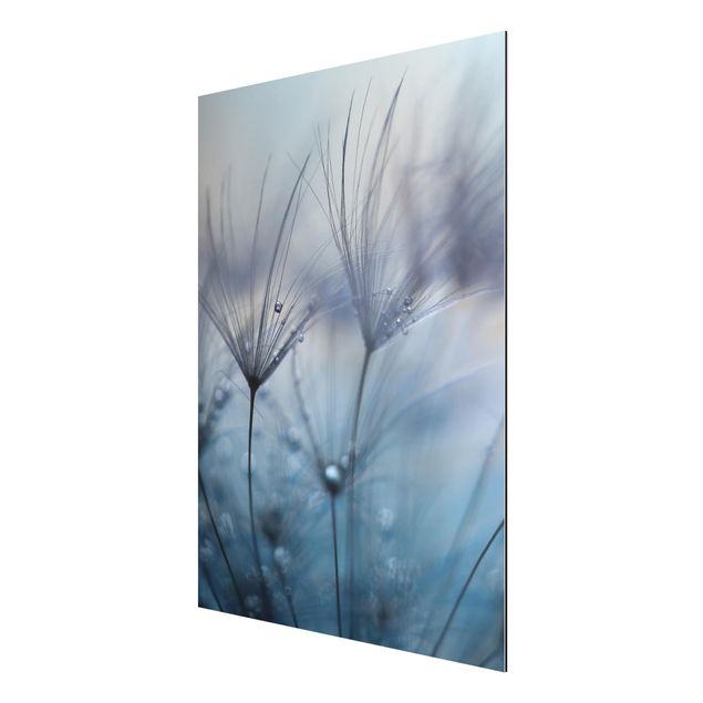 Floral picture Blue Feathers In The Rain