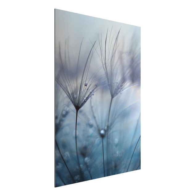 Floral canvas Blue Feathers In The Rain