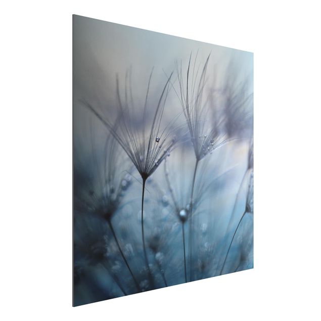 Floral canvas Blue Feathers In The Rain