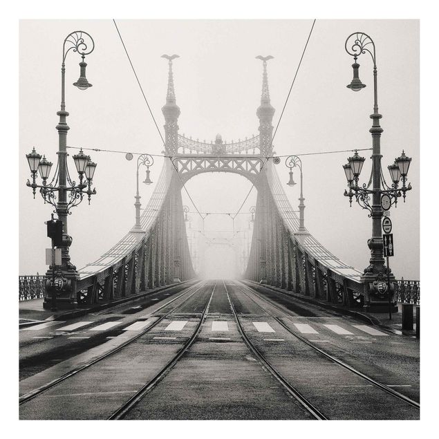 Modern art prints Bridge in Budapest