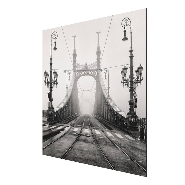 Architectural prints Bridge in Budapest