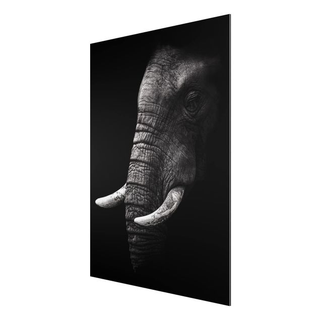Prints landscape Dark Elephant Portrait