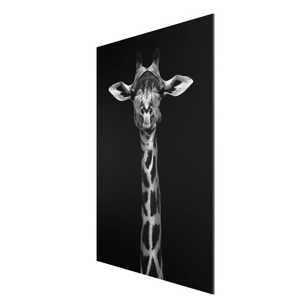Animal wall art Dark Giraffe Portrait