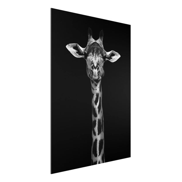 Giraffe canvas Dark Giraffe Portrait