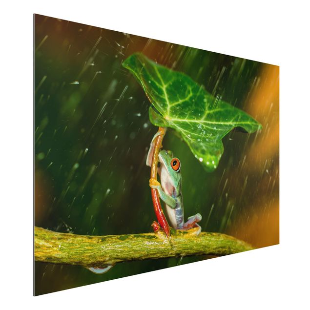 Animal wall art Frog In The Rain