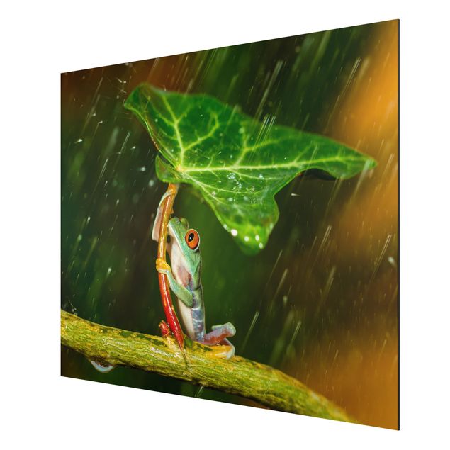 Prints floral Frog In The Rain