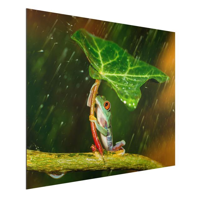Animal wall art Frog In The Rain