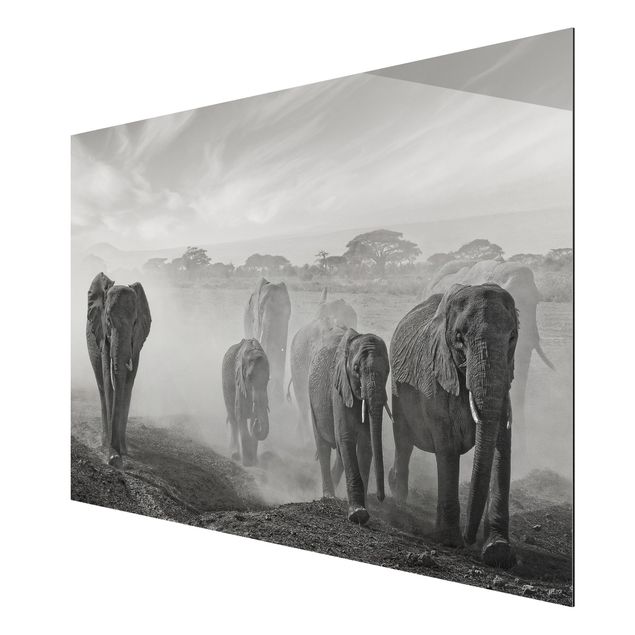 Prints landscape Herd Of Elephants