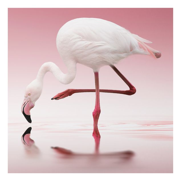 Animal wall art Flamingo Dance