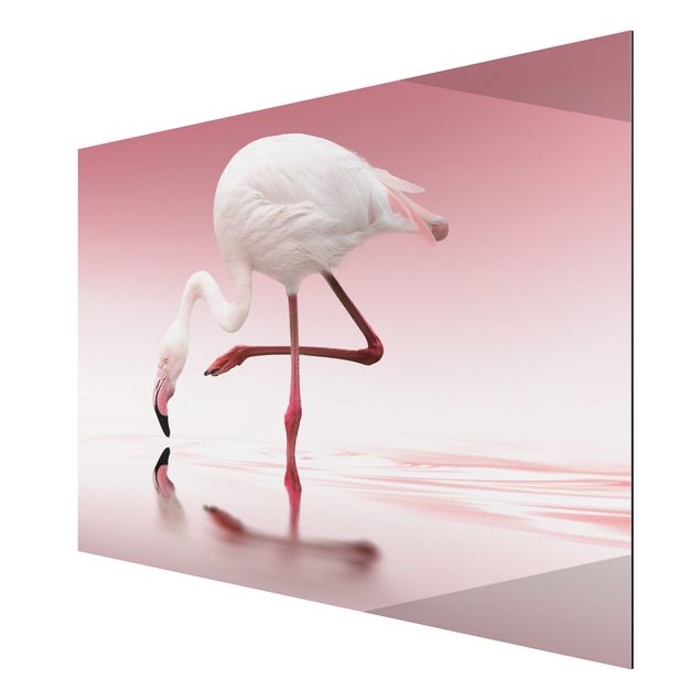 Contemporary art prints Flamingo Dance