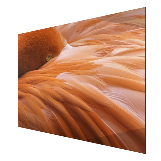 Modern art prints Flamingo Feathers