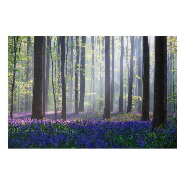 Landscape canvas prints Spring Day In The Forest
