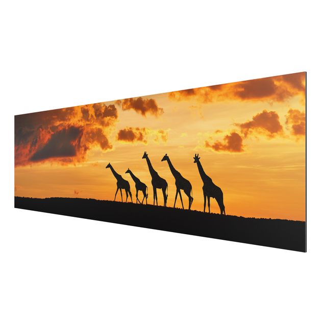 Prints landscape Five Giraffes