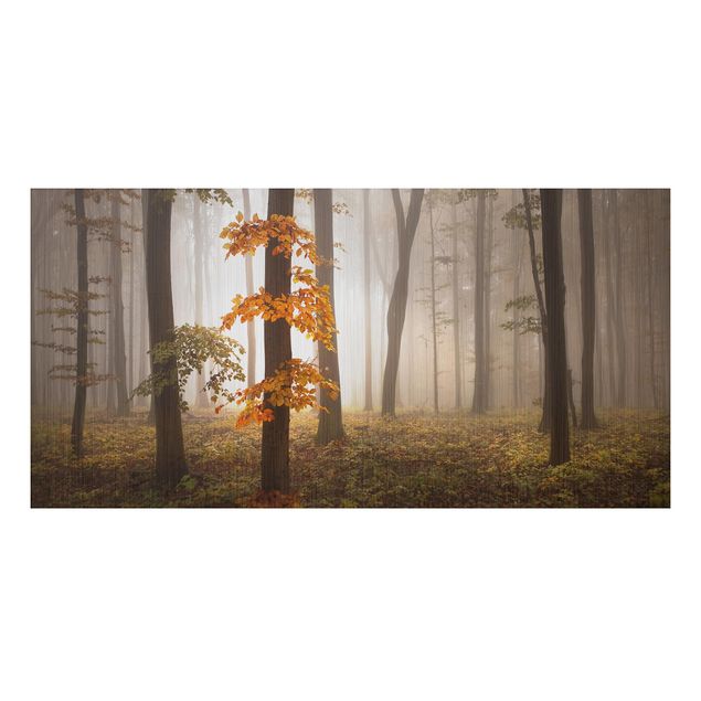 Prints landscape November Forest