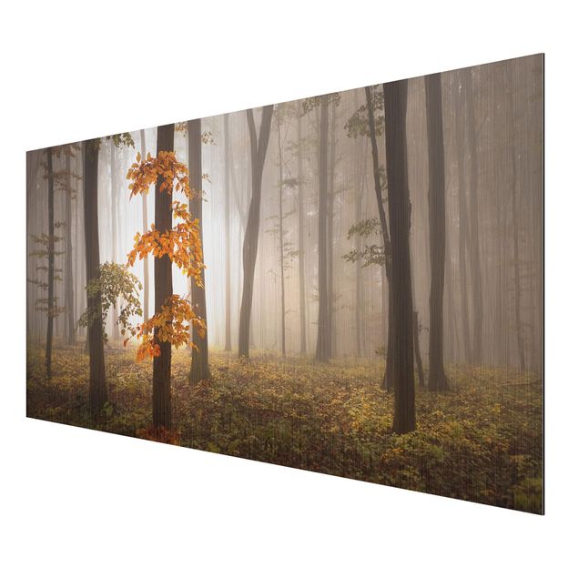 Trees on canvas November Forest