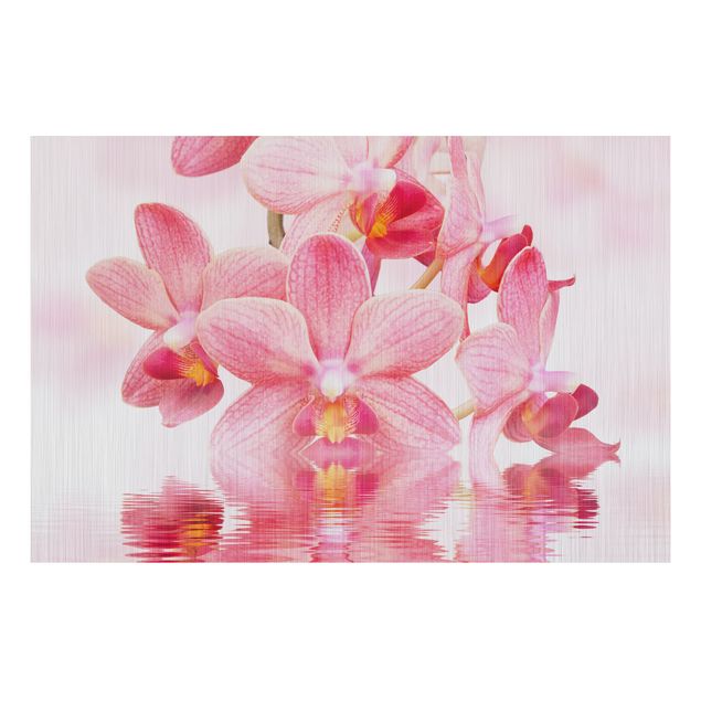 Orchid print Light Pink Orchid On Water