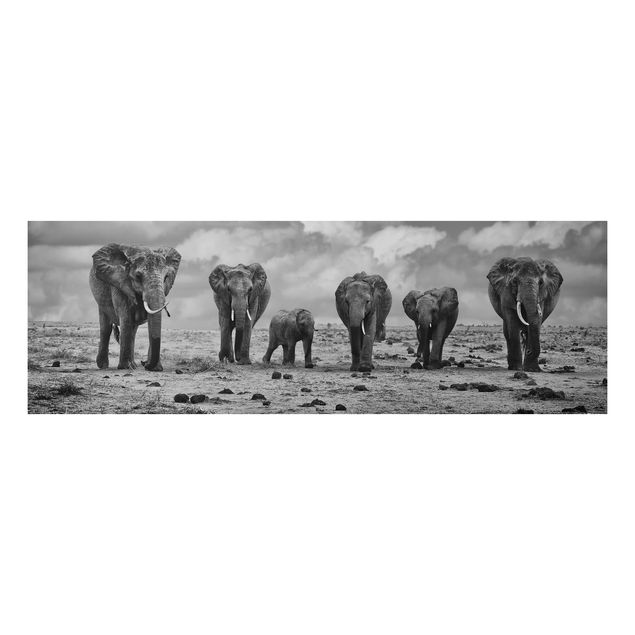 Prints elefant Large Familiy
