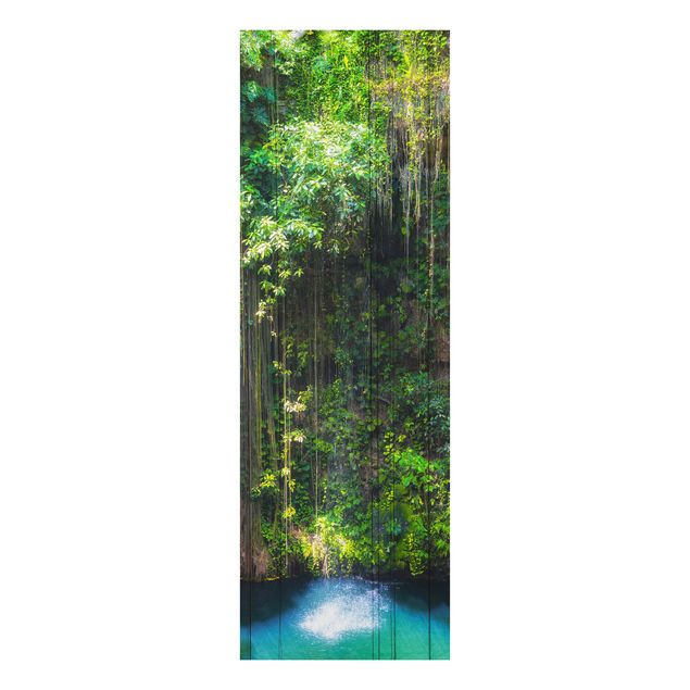 Landscape canvas prints Hanging Roots Of Ik-Kil Cenote