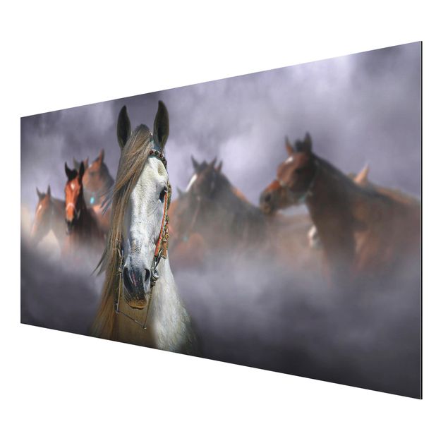 Animal canvas Horses in the Dust