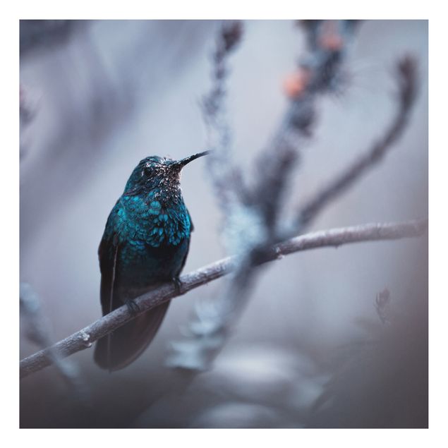 Animal wall art Hummingbird In Winter