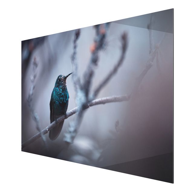 Contemporary art prints Hummingbird In Winter