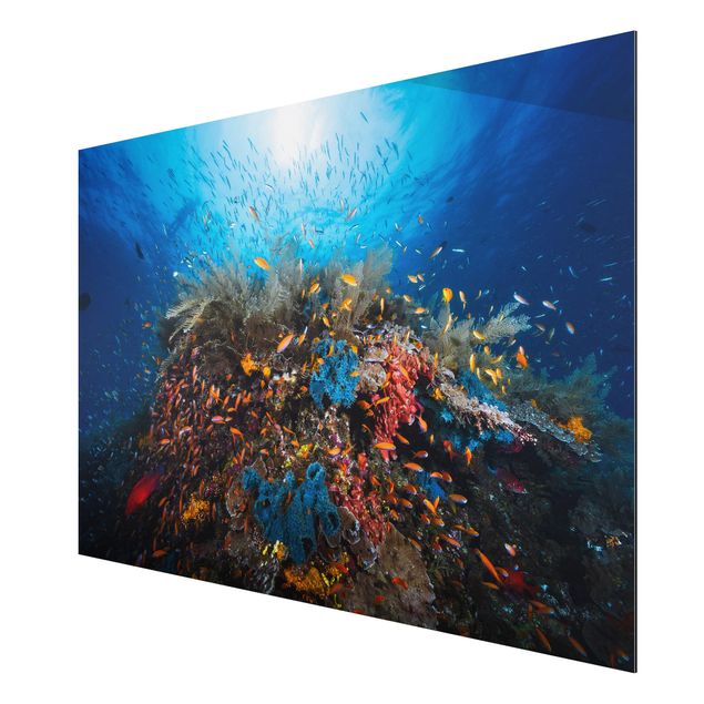Modern art prints Lagoon Underwater