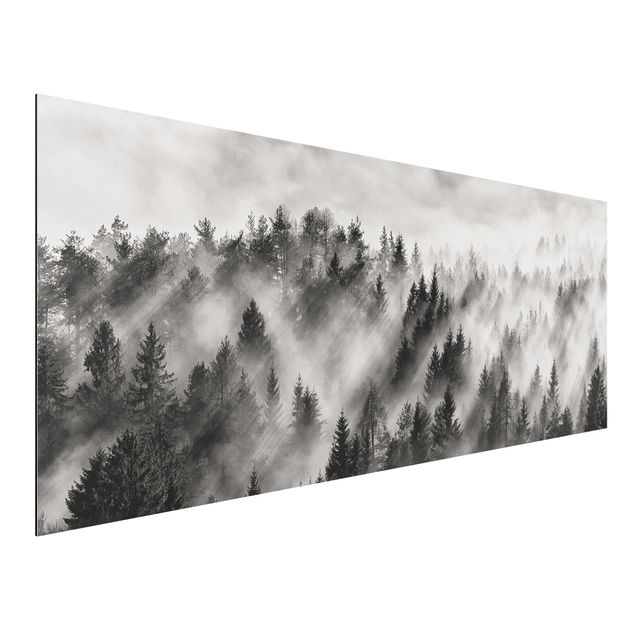 Landscape wall art Light Rays In The Coniferous Forest