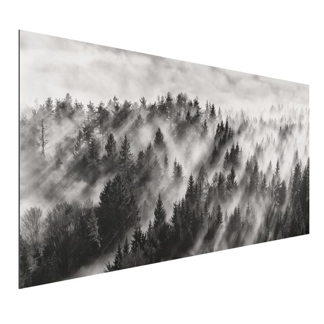 Landscape wall art Light Rays In The Coniferous Forest
