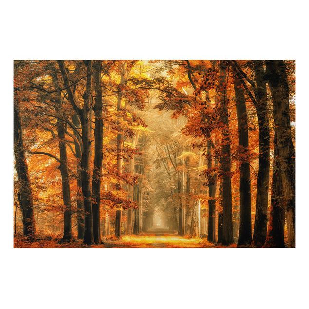 Prints landscape Enchanted Forest In Autumn