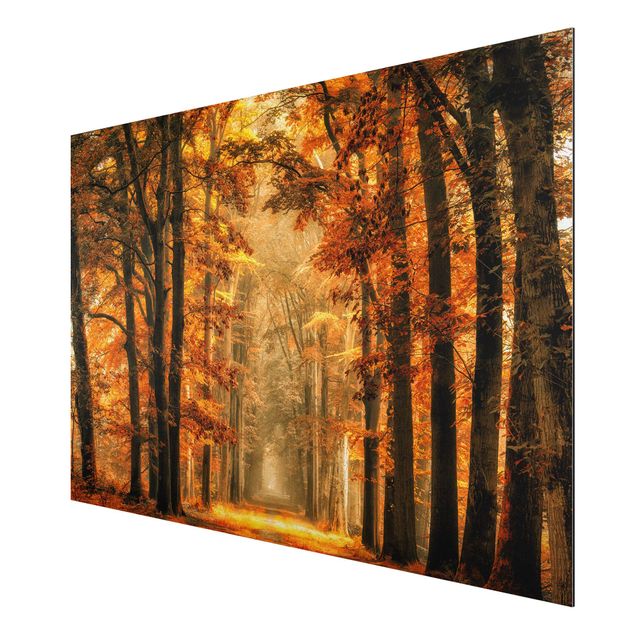Trees on canvas Enchanted Forest In Autumn