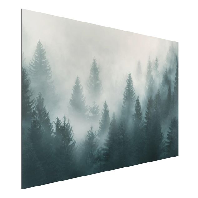 Kitchen Coniferous Forest In Fog