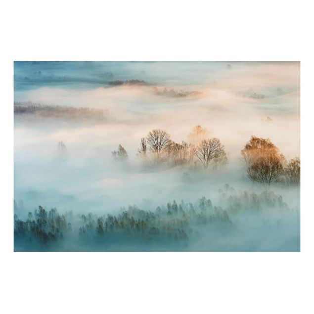 Landscape canvas prints Fog At Sunrise
