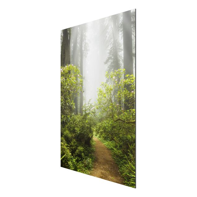 Tree print Misty Forest Path