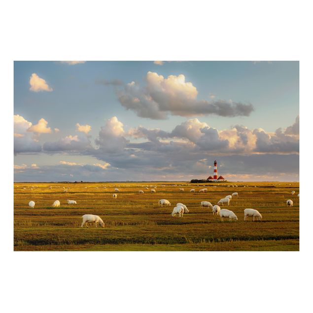 Prints landscape North Sea Lighthouse With Flock Of Sheep