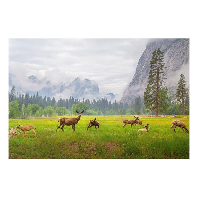 Landscape canvas prints Deer In The Mountains