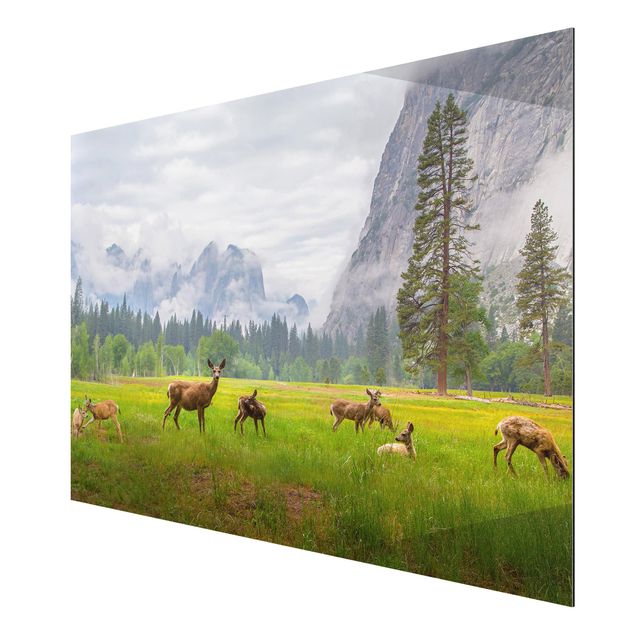 Mountain art prints Deer In The Mountains