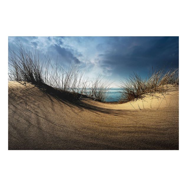 Prints landscape Sand Dune