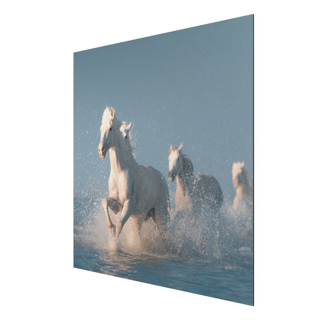 Prints animals Herd Of White Horses