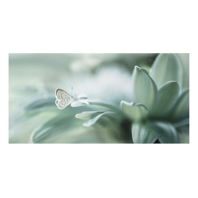 Kitchen Butterfly And Dew Drops In Pastel Green
