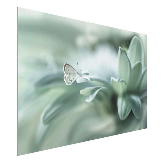 Butterfly print Butterfly And Dew Drops In Pastel Green